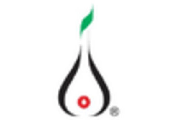 Annatto Market key player