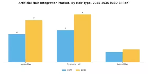 Artificial Hair Integration Market Segment Image 0