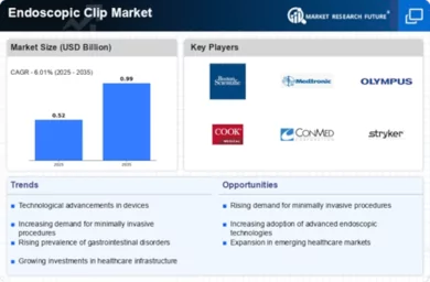 Endoscopic Clip Market Infographic