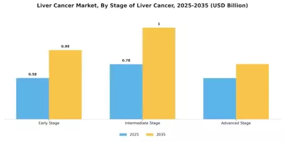 Liver Cancer Market Segment Image 0