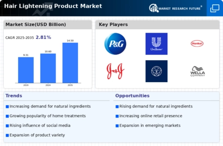 Hair Lightening Product Market Infographic