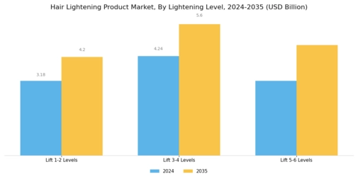 Hair Lightening Product Market Segment Image 1