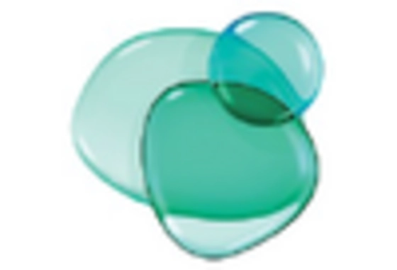 Container Glass Market key player