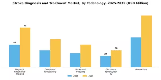 Stroke Diagnosis and Treatment Market Segment Image 1