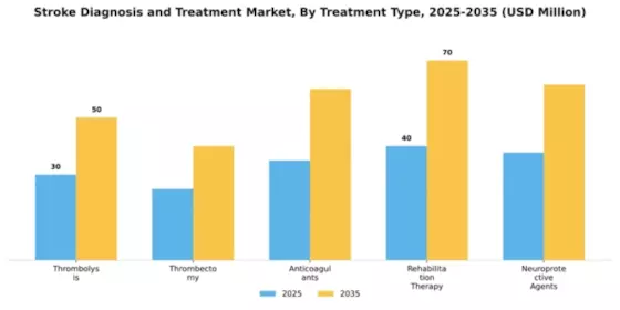 Stroke Diagnosis and Treatment Market Segment Image 3