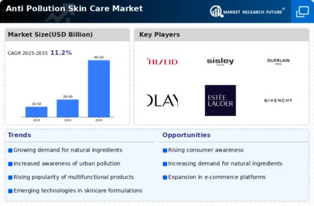 Anti Pollution Skin Care Market Infographic