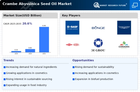 Crambe Abyssinica Seed Oil Market Infographic