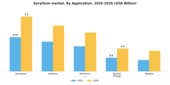 Beryllium Market Segment Image 0
