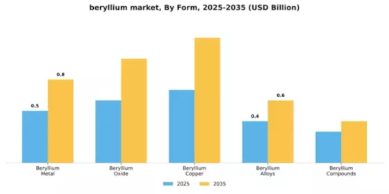 Beryllium Market Segment Image 3