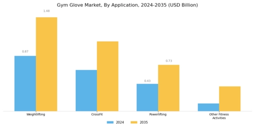 Gym Glove Market Segment Image 4