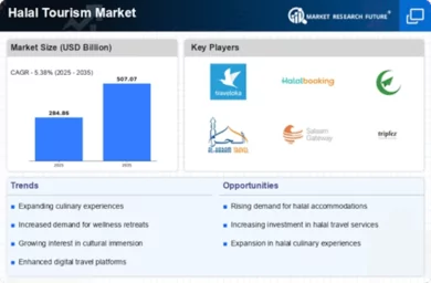 Halal Tourism Industry Overview Market Infographic