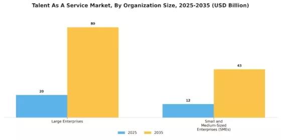 Talent As A Service Market Segment Image 0