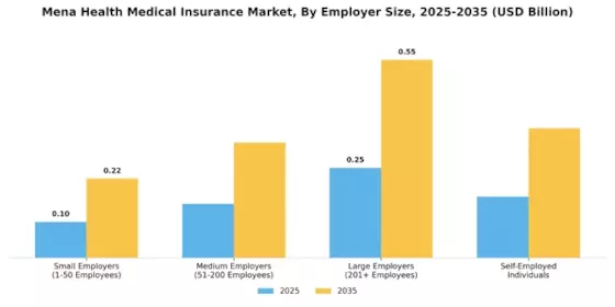 Mena Health Medical Insurance Market
 Segment Image 2