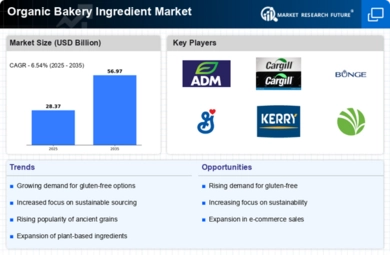 Organic Bakery Ingredient Market Infographic