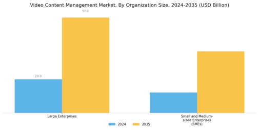 Video Content Management Market Segment Image 1