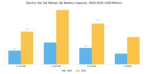 Electric Tuk Tuk Market Segment Image 0