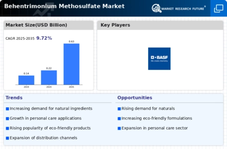 Behentrimonium Methosulfate Market Infographic