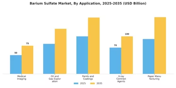Barium Sulfate Market Segment Image 1