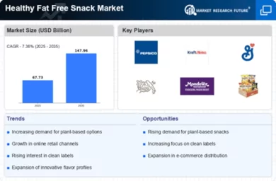 Healthy Fat Free Snack Market Infographic