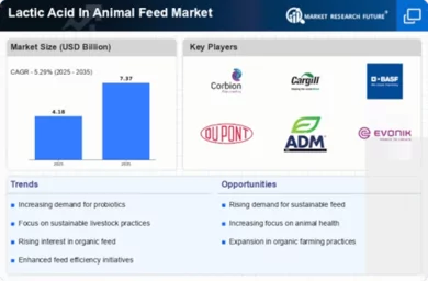 Lactic Acid In Animal Feed Market Infographic