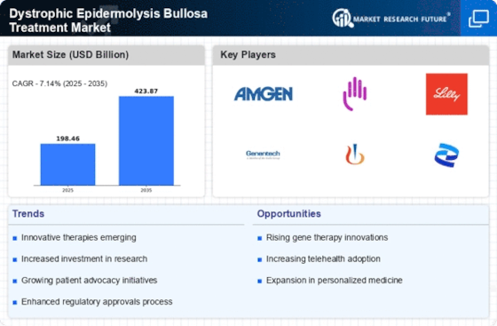 Dystrophic Epidermolysis Bullosa Treatment Market Infographic
