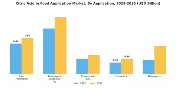 Citric Acid in Food Application Market Segment Image 4