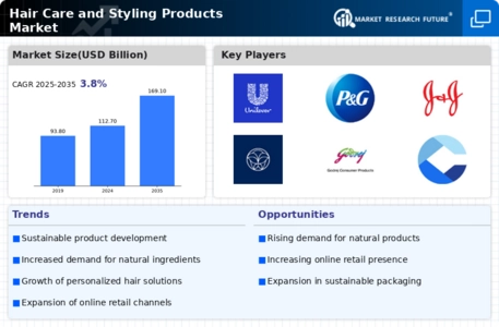 Hair Care Styling Products Market Infographic