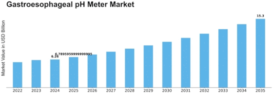 Gastroesophageal Ph Meter Market Size