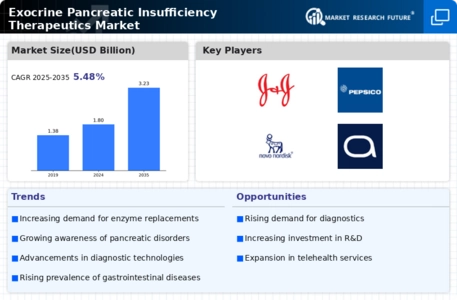 Exocrine Pancreatic Insufficiency Therapeutics Market Infographic