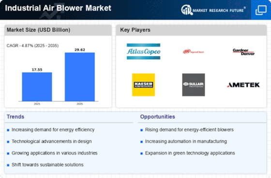 Industrial Air Blower Market
 Infographic