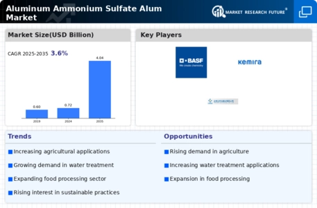 Aluminum Ammonium Sulfate Alum Market Infographic