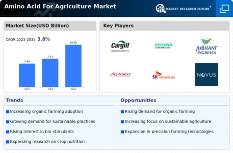 Amino Acid For Agriculture Market Infographic