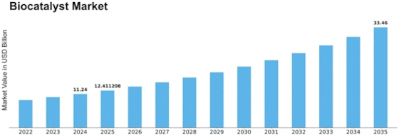 Biocatalyst Market Size