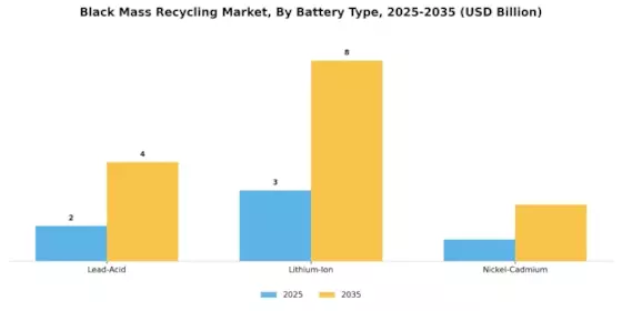 Black Mass Recycling Market Segment Image 1