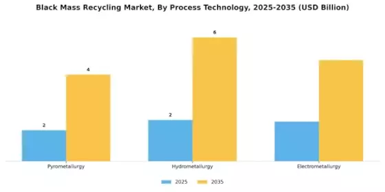 Black Mass Recycling Market Segment Image 2