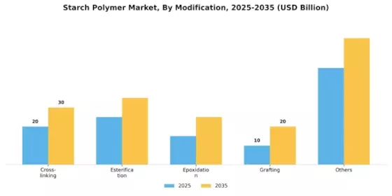 Starch Polymer Market Segment Image 2