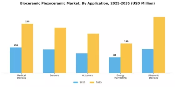 Bioceramic Piezoceramic Market Segment Image 0