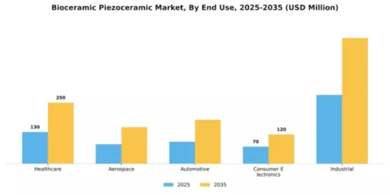 Bioceramic Piezoceramic Market Segment Image 1