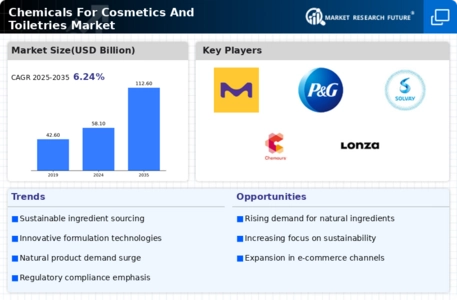 Chemicals For Cosmetics Toiletries Market Infographic