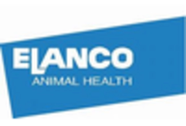 Canine Arthritis Treatment Market key player