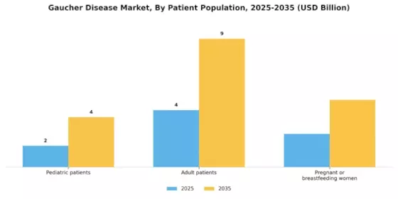 Gaucher Disease Market Segment Image 2
