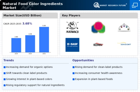 Natural Food Color Ingredients Market Infographic Natural Food Color Ingredients Market Infographic