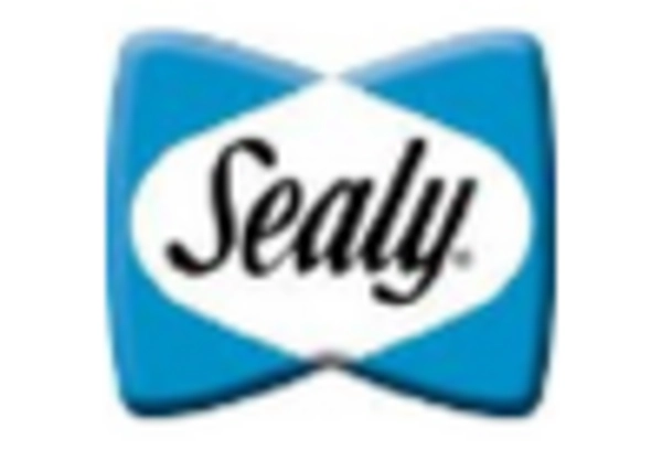 Pillow Market key player