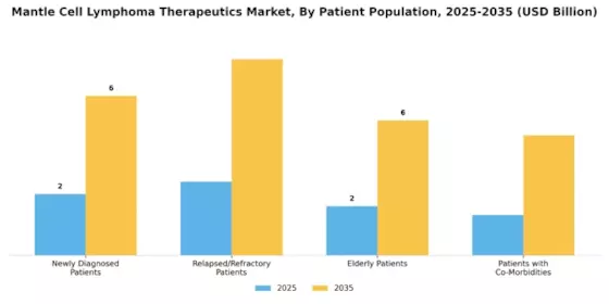 Mantle Cell Lymphoma Therapeutics Market Segment Image 2