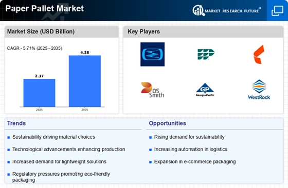 Paper Pallet Market Infographic