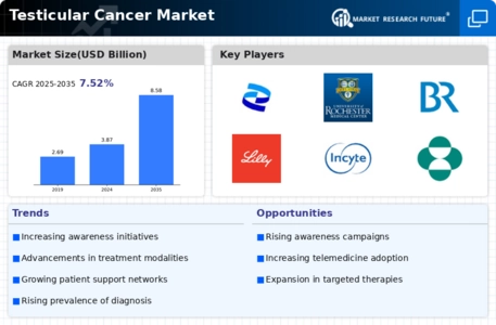 Testicular Cancer Market Infographic