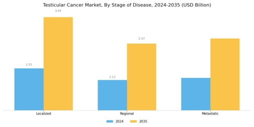 Testicular Cancer Market Segment Image 1