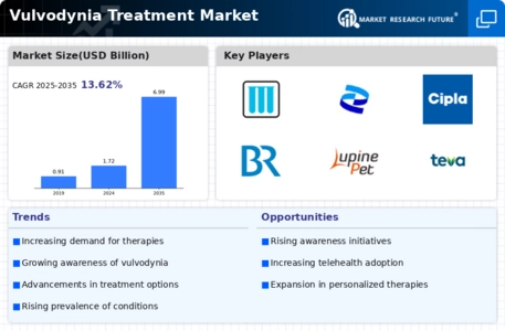 Vulvodynia Treatment Market Infographic