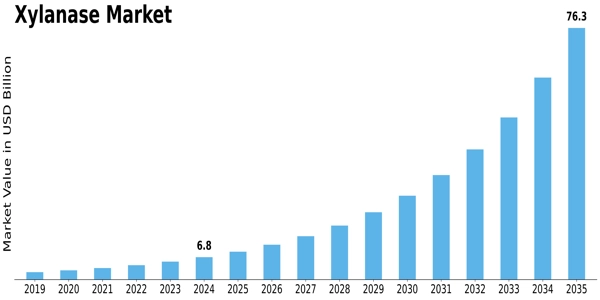 Xylanase Market Size