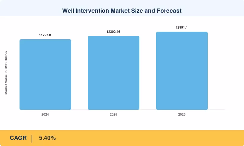 Well Intervention Market Size and Forecast